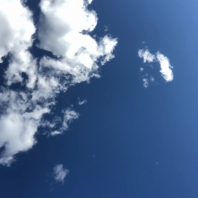 きのうの髪型／動画の画像