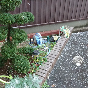 2017年12月5日、小松に霰（あられ)、降る❗の画像