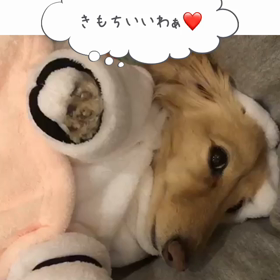 愛娘をマッサージする日の画像