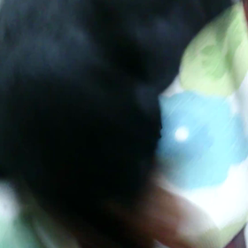 ピーピピー♪の画像