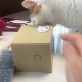 さすがハナちゃん✨✨の画像