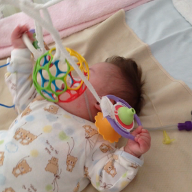 今日のつばちゃんの画像