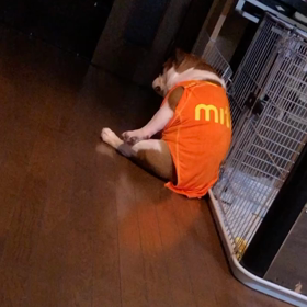 怖い怖いの画像