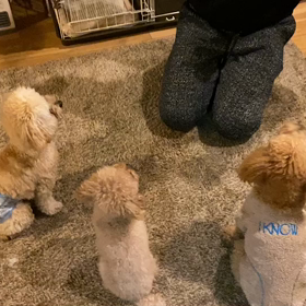 明けましておめでとうございます(*^^*)の画像