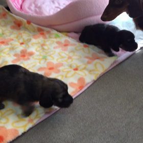 もごもごの画像