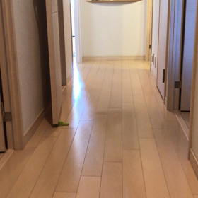 お出迎え⁉️の画像