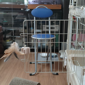 朝の体操〜の画像