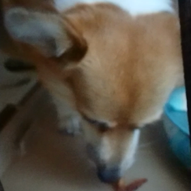 よくかんで！！の画像