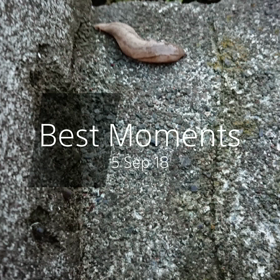 ナメクジさんの画像