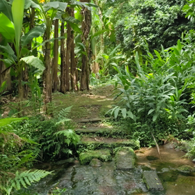 私の癒やしスポット❗の画像