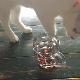 猫さんにとってコーヒーは…の画像