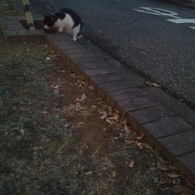 警戒……の画像