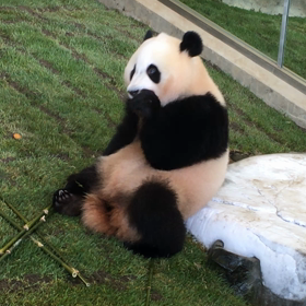 3年ぶりの白浜⑤の画像