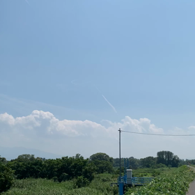 ニコちゃんの画像