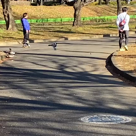 ミニ駅伝（ラスト80m）⑨の画像