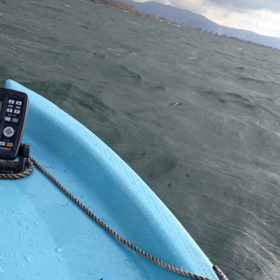 昨日の琵琶さんの画像