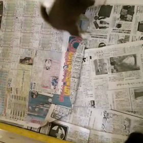 大興奮ですねの画像