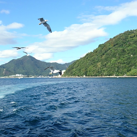 浄化☆其の三の画像