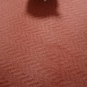 人類の進化の画像