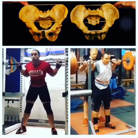 骨格の違いによるトレーニングファームの違いの画像