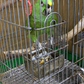 雷:(；ﾞﾟ'ωﾟ'):の画像