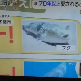 TYS 原ちゃん 最高‼️❤の画像