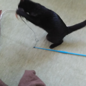 受験事件続編(笑)の画像