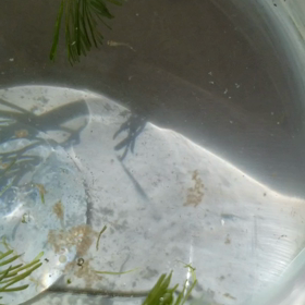 可愛い❤️の画像