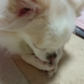 寝る前のルーティンの画像