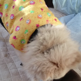 復活✊‼の画像