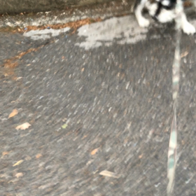 諦めない心の画像