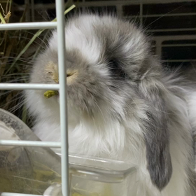 もぐもぐタイム撮ってみたの画像