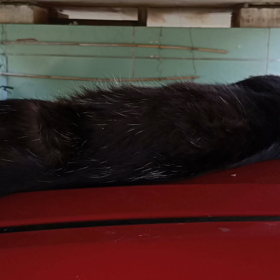 今天的你の画像