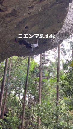 再会の記事動画