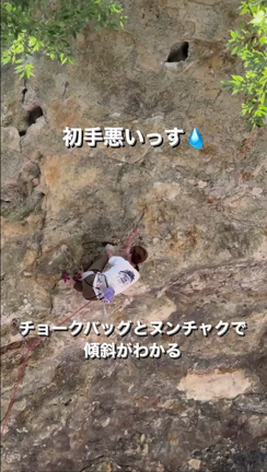 コエンマDAY2の記事動画
