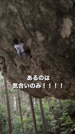 ピンキーリングの記事動画