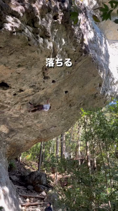 寒すぎの記事動画