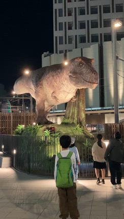 2024_GW編　　　　　　　　　ばるるんばの外食日記　　の記事動画