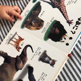 2歳1ヶ月の次男坊の絵本読みの画像
