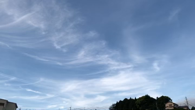 なんの鳥？の記事動画