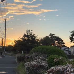 ぷち朝活の画像