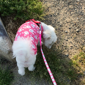 今日も。の画像