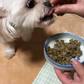 食事の画像