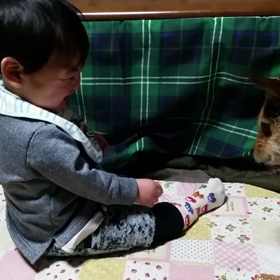 仲がいいのか悪いのか*の画像