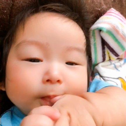今日のこうちゃんの記事動画