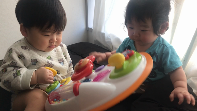 ほのぼのな日常の記事動画