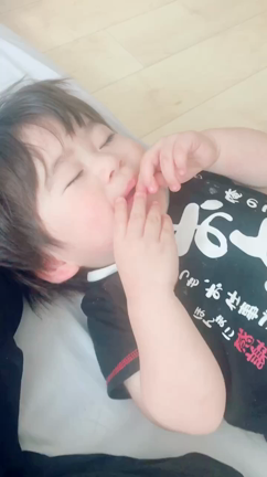 夢見るご飯の記事動画