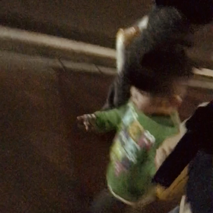 夜の散歩の記事動画