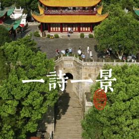 2025/02/08の画像