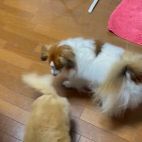 分かる気がするの画像